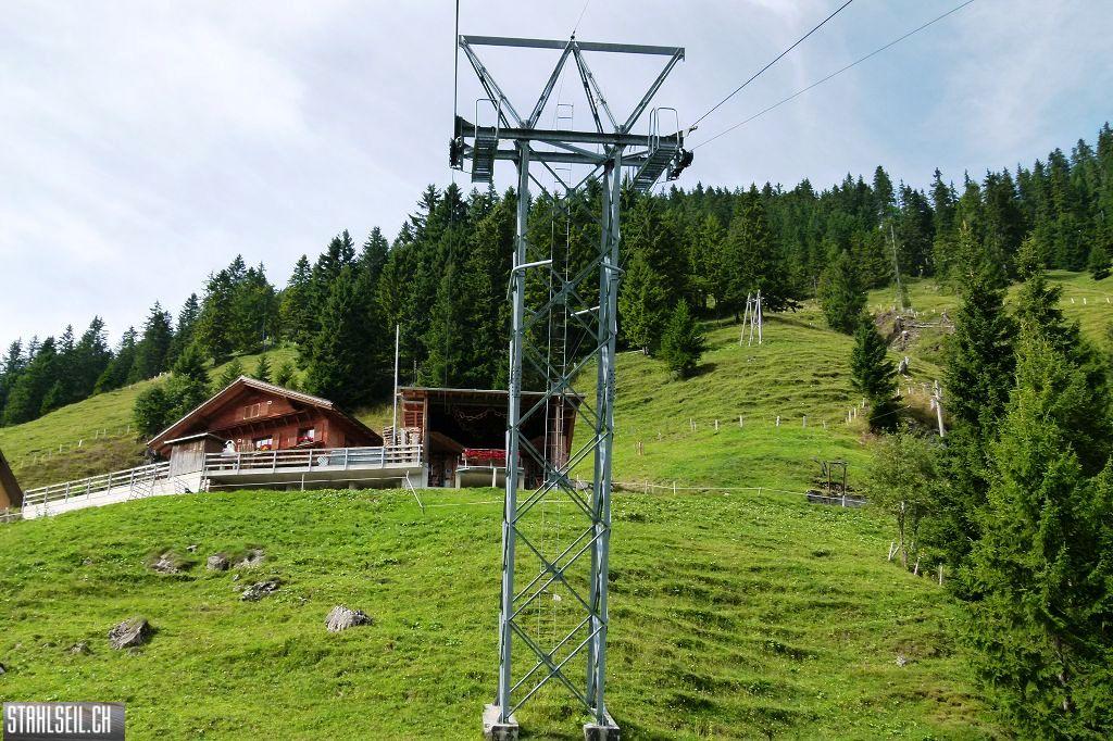 k-P1530465.JPG