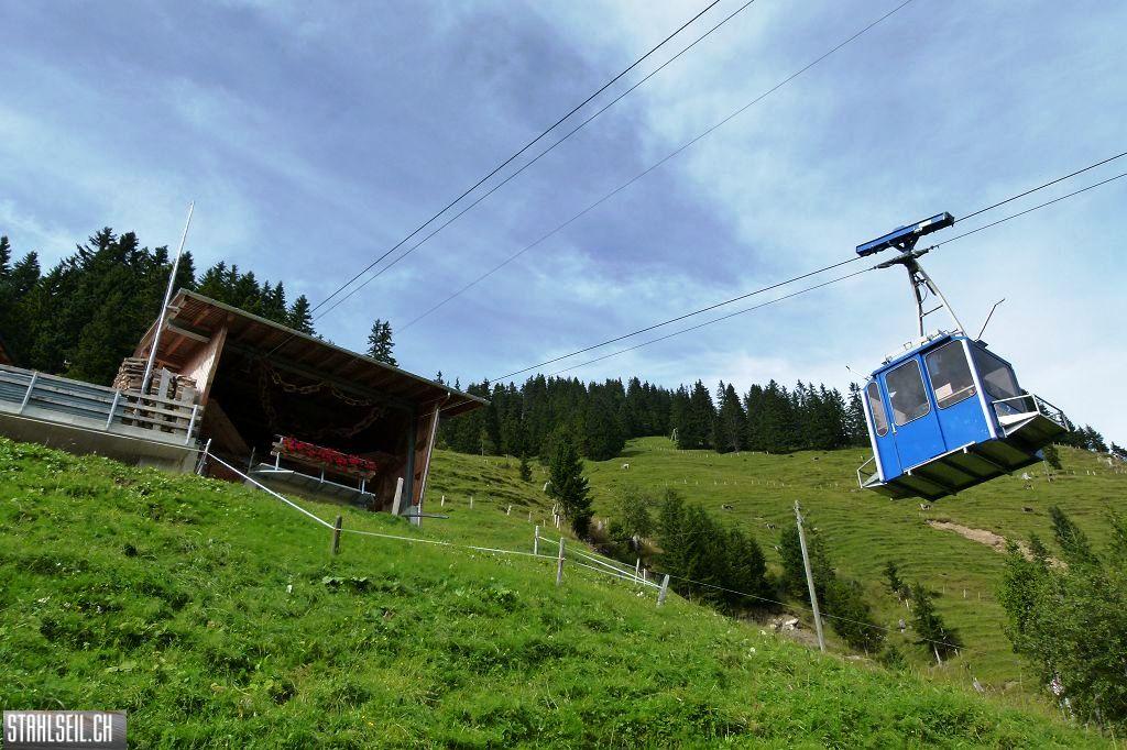 k-P1530487.JPG