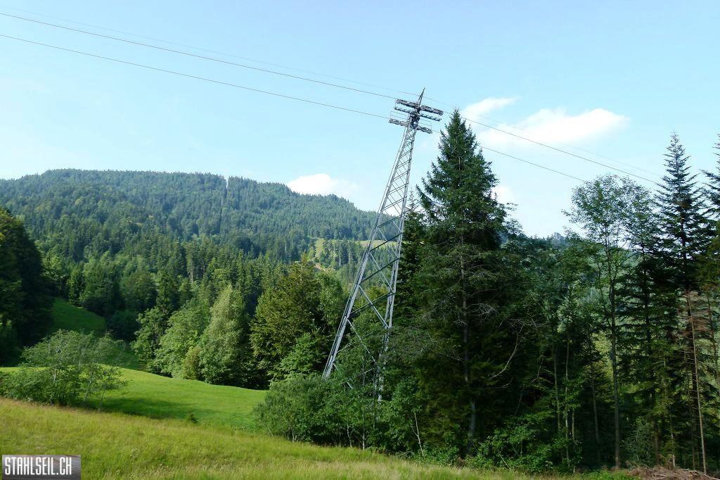 k-P1520019.JPG