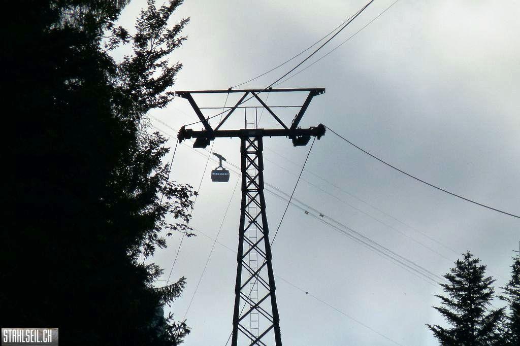 k-P1520099.JPG