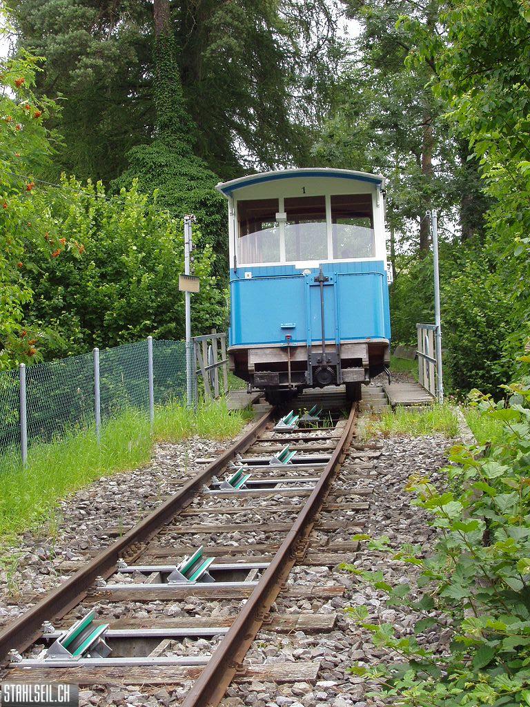 k-P7150055.JPG