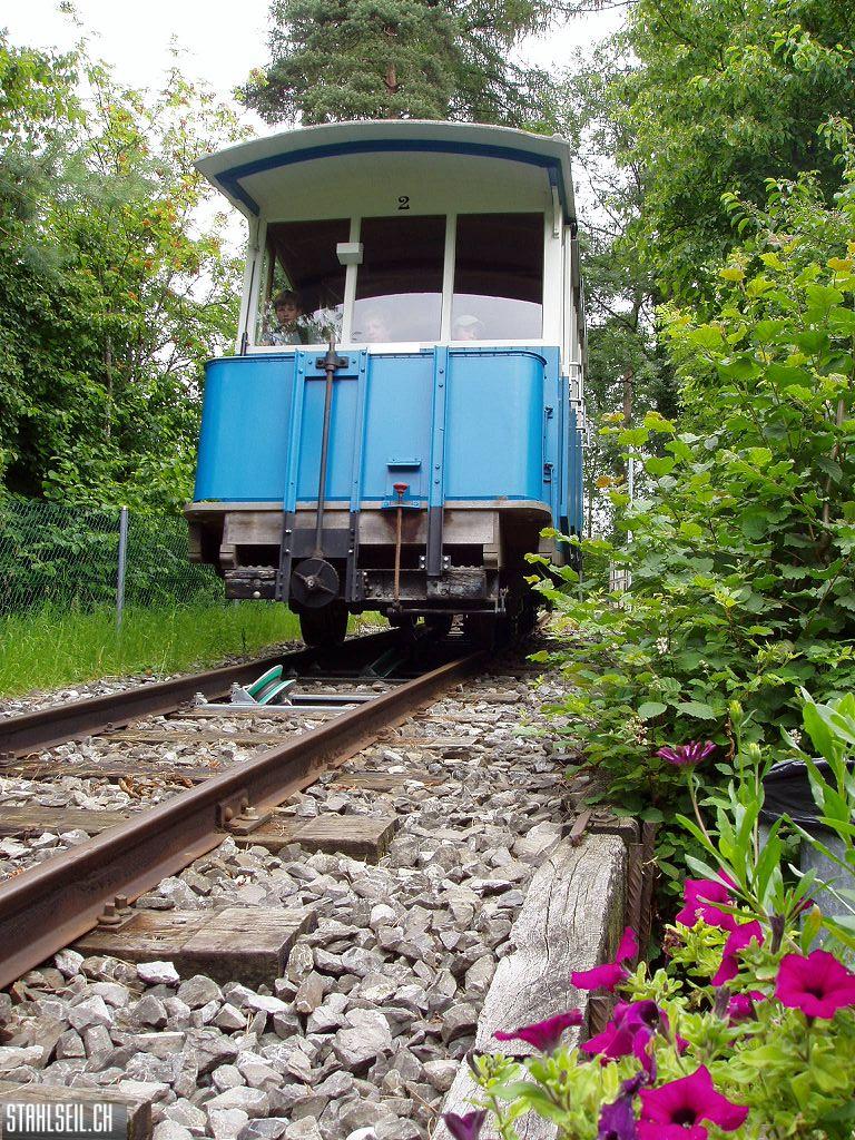 k-P7150057.JPG