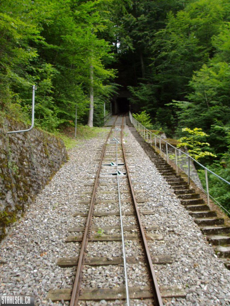 k-P7150067.JPG