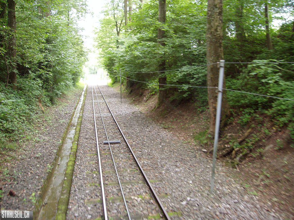 k-P7150025.JPG