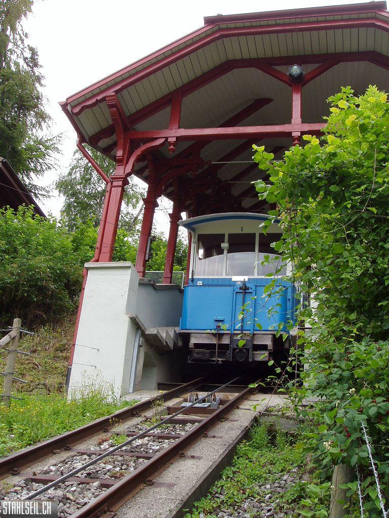 k-P7150038.JPG