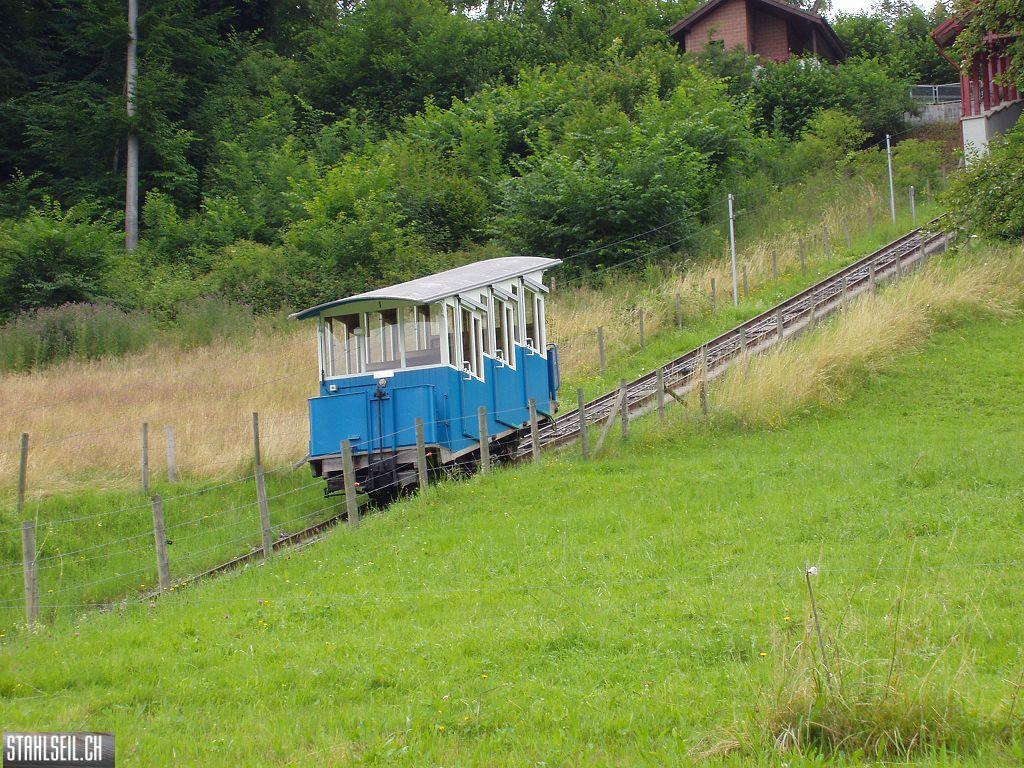 k-P7150040.JPG