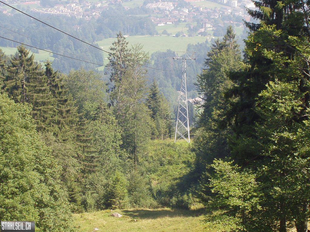 k-P8170187.JPG