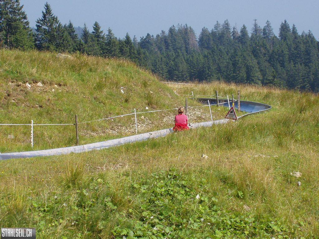 k-P8170151.JPG