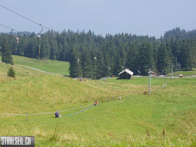 k-P8170166.JPG