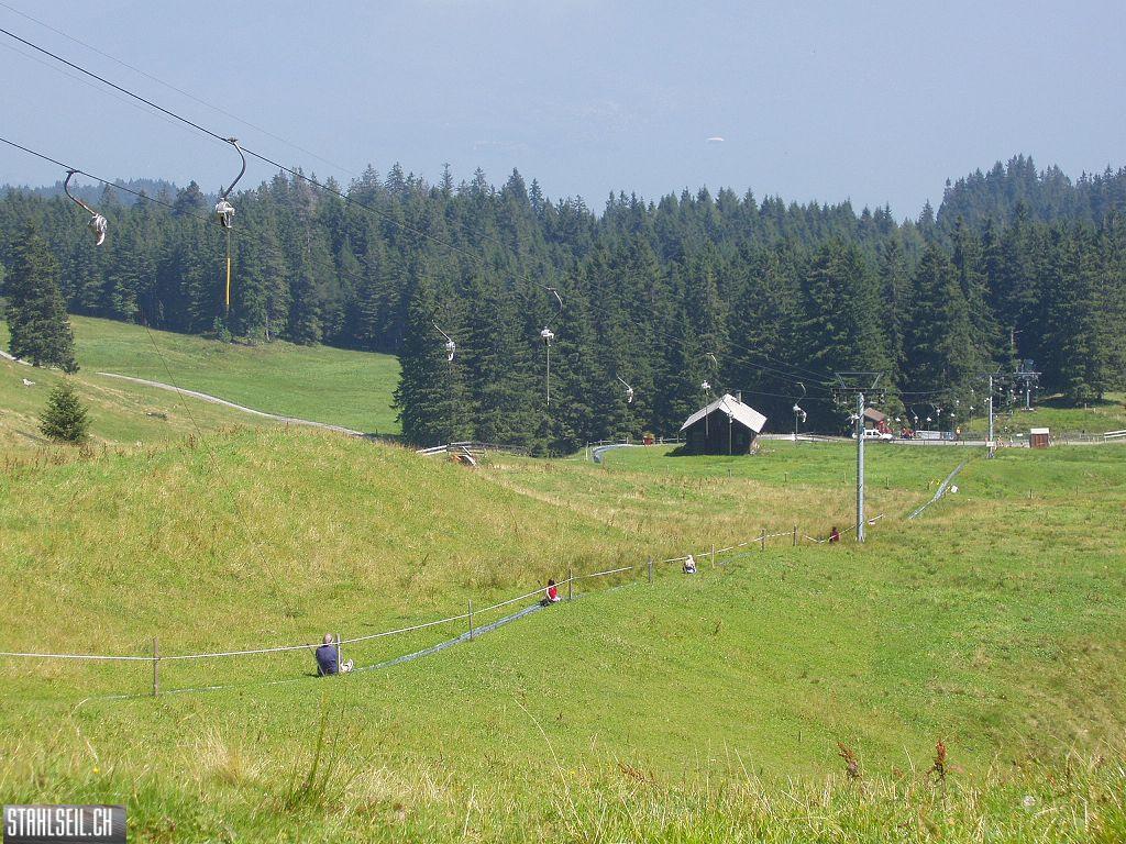 k-P8170166.JPG
