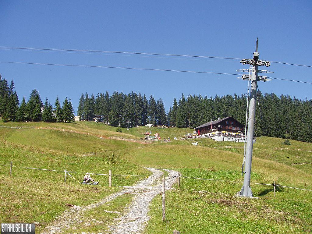 k-P8170171.JPG