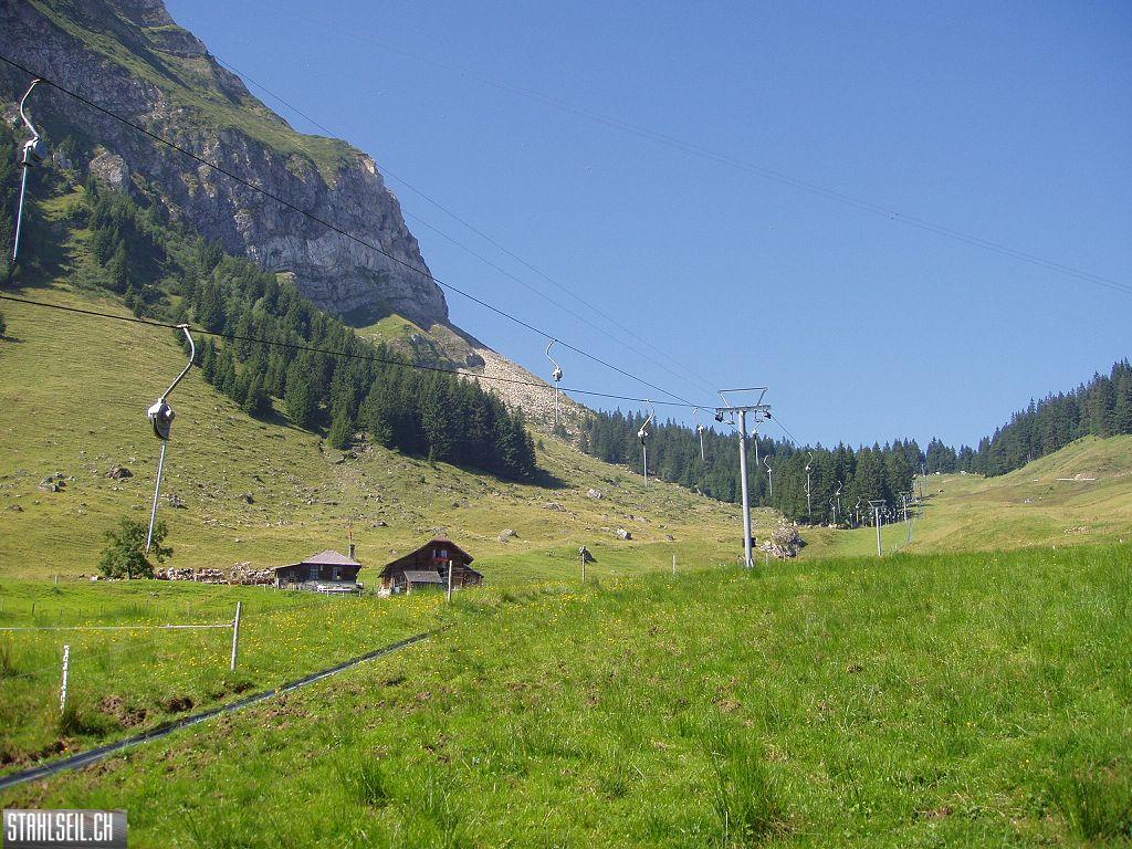 k-P8170388.JPG