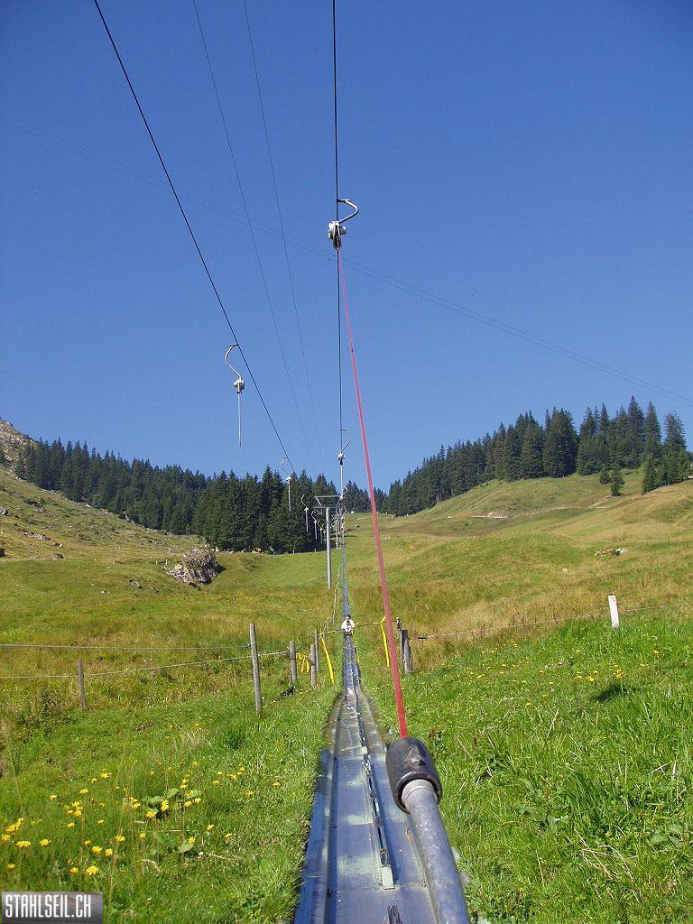 k-P8170393.JPG