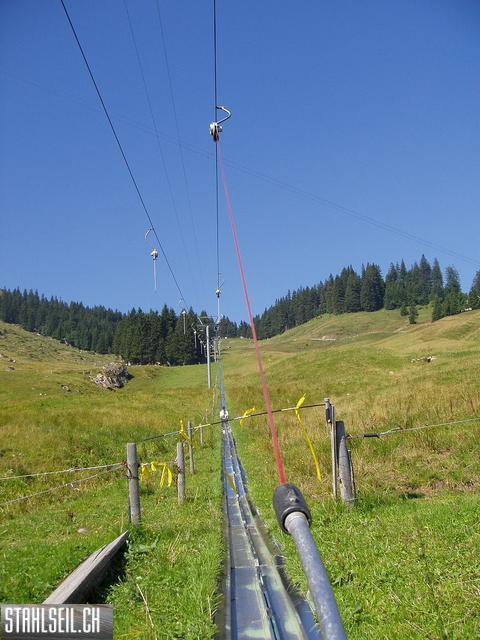 k-P8170394.JPG