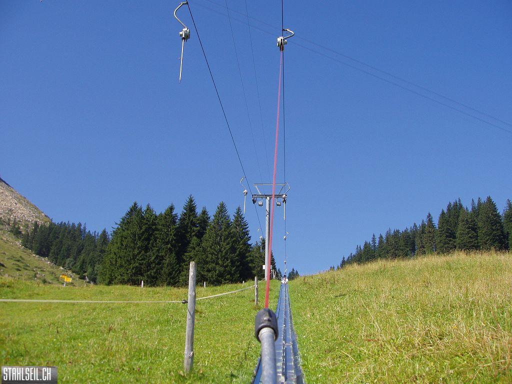 k-P8170398.JPG