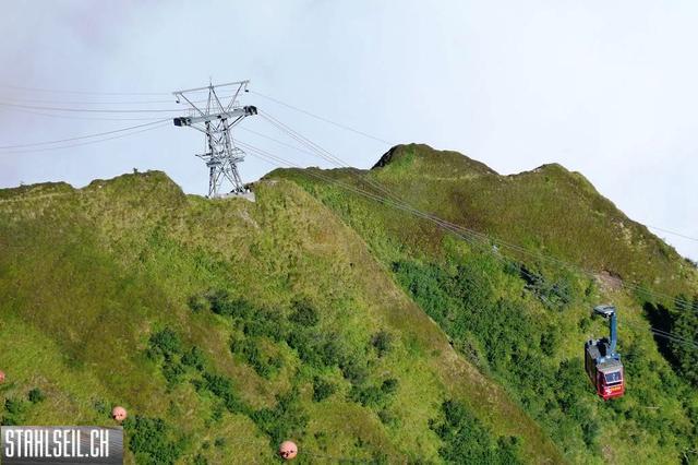 k-P1530200.JPG