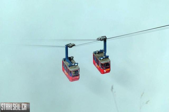 k-P1530340.JPG