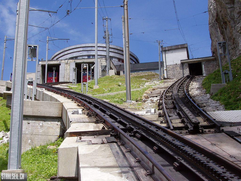 k-P7150126.JPG