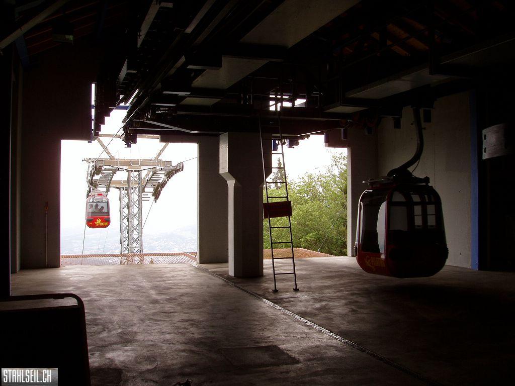 k-P7150096.JPG