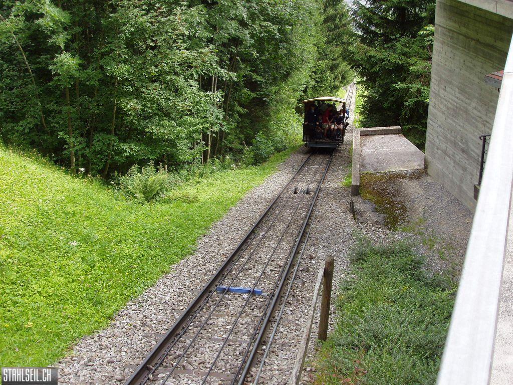 k-P7140146 (2).JPG