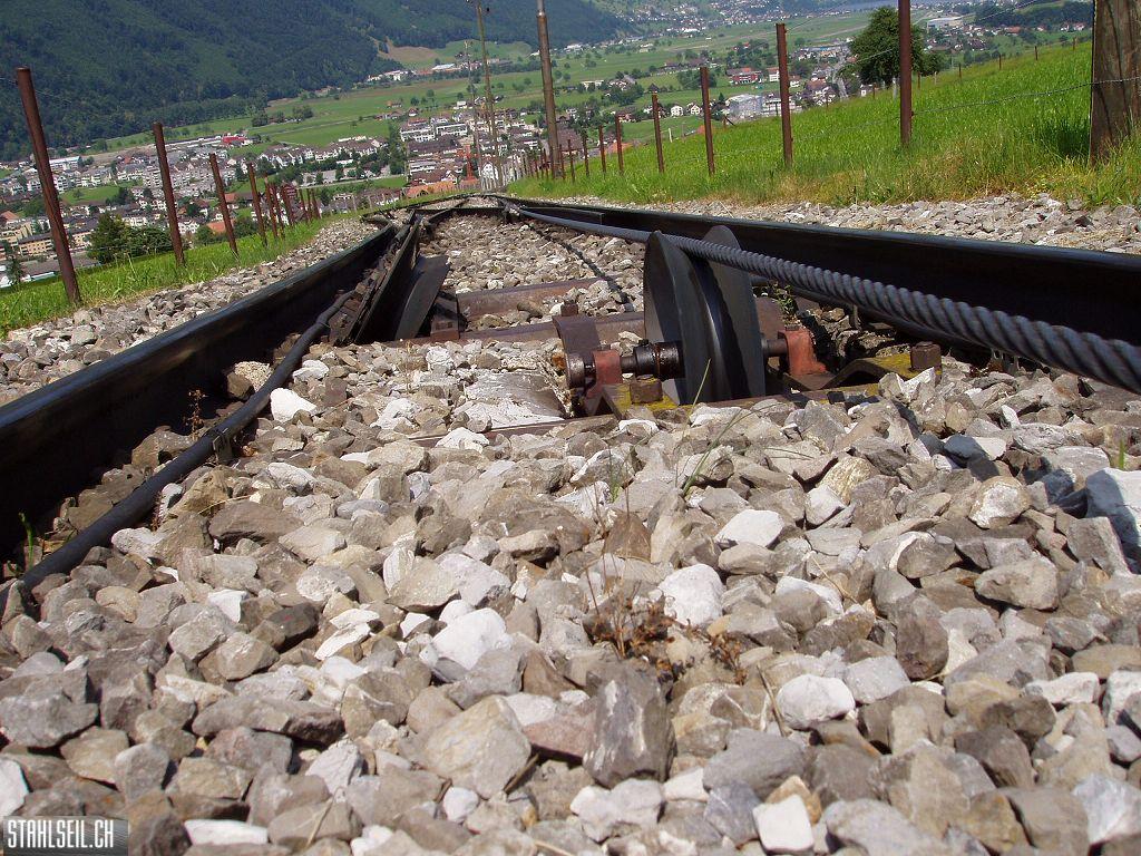 k-P7140164.JPG