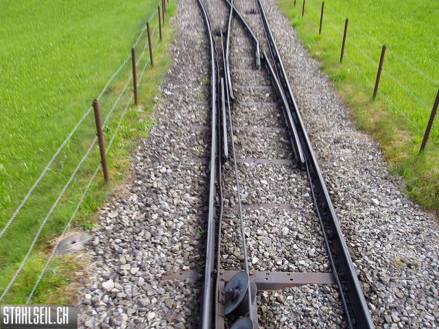 k-P7140019 (2).JPG