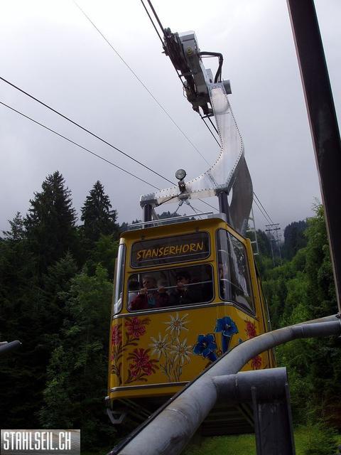 k-P7140008.JPG