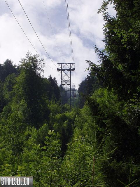 k-P7140048.JPG