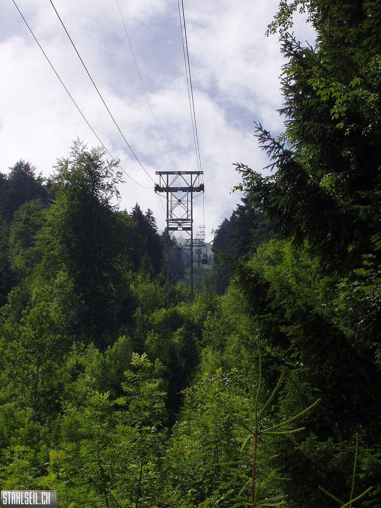 k-P7140048.JPG