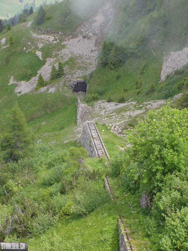 k-P7140058.JPG