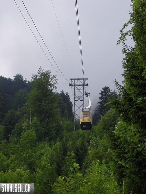 k-P7140063 (2).JPG