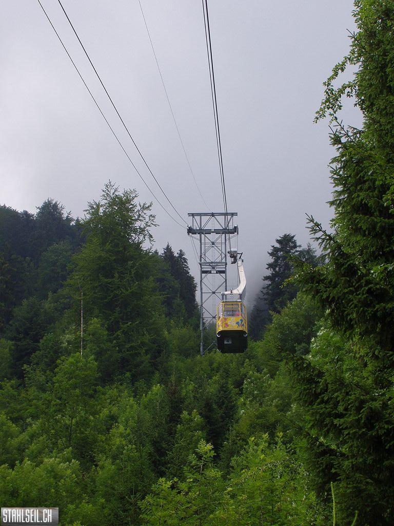 k-P7140063 (2).JPG