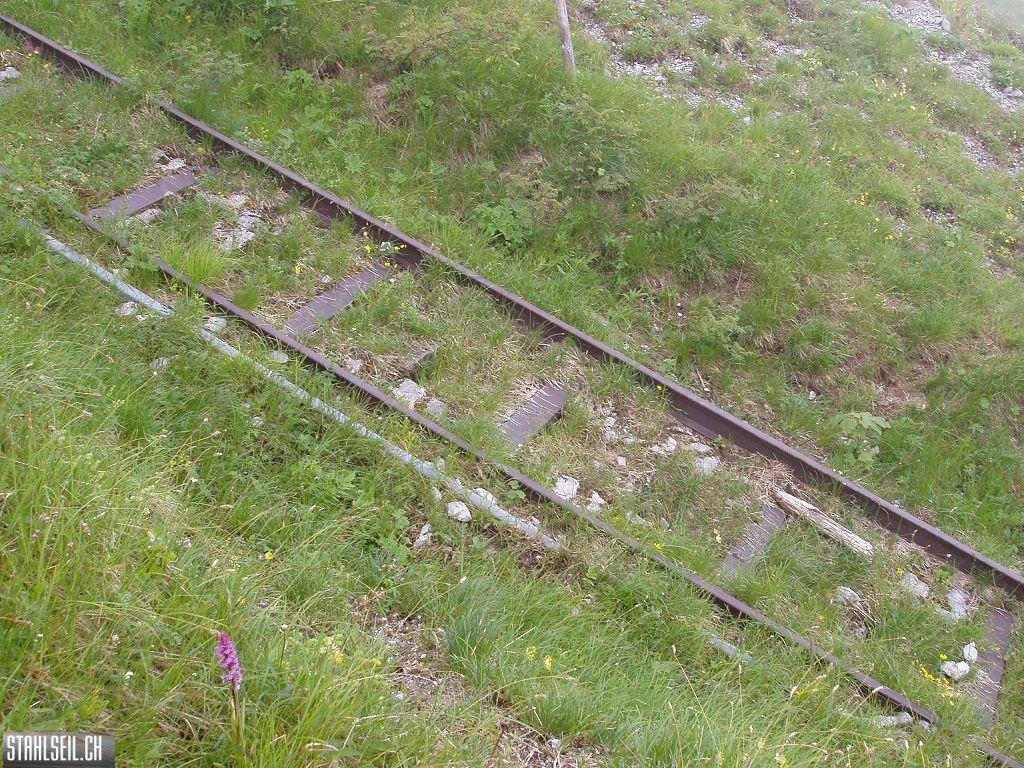 k-P7140085.JPG