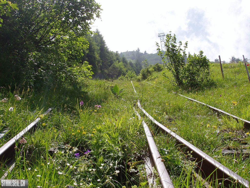 k-P7140087.JPG