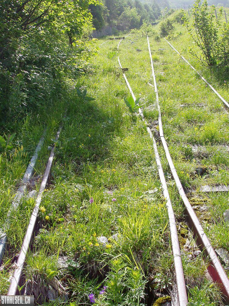 k-P7140088.JPG