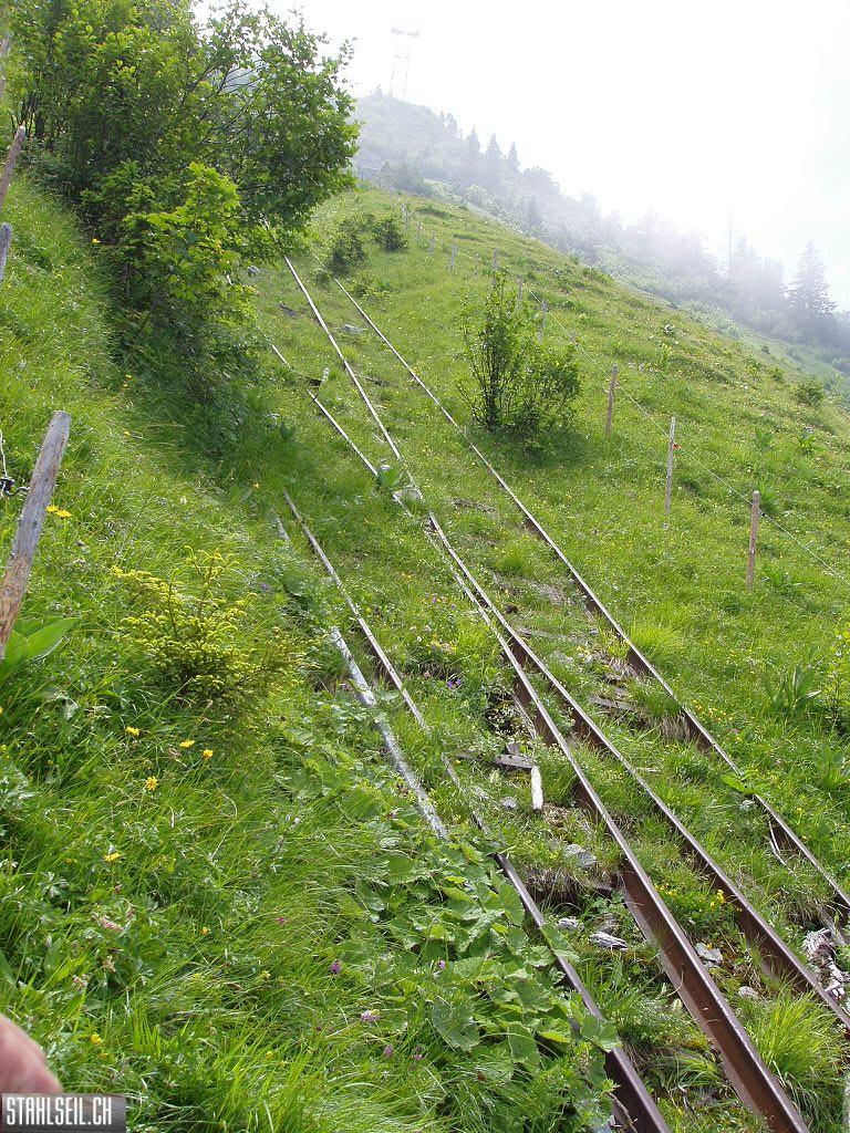 k-P7140090.JPG