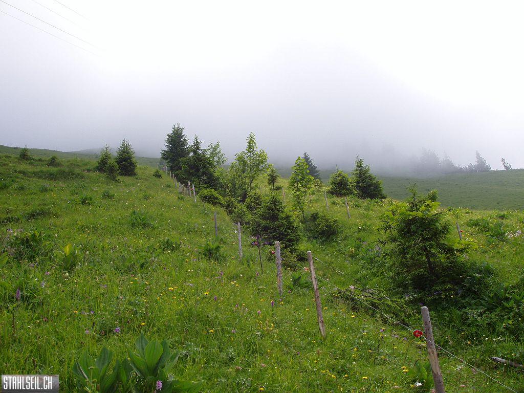 k-P7140095.JPG
