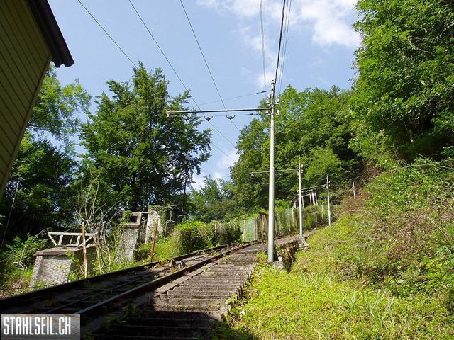 k-P7140028 (3).JPG