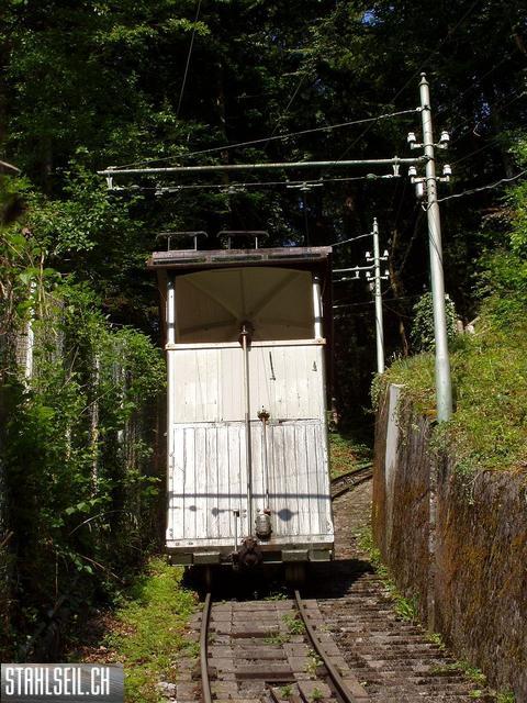 k-P7140157 (2).JPG