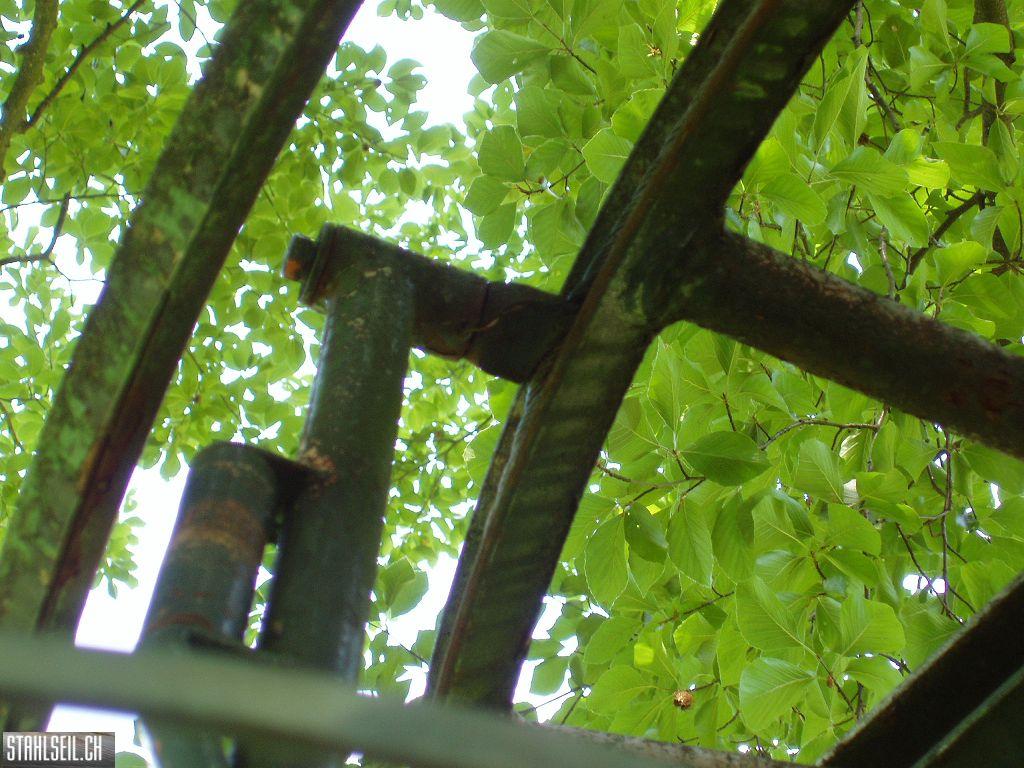 k-P7140042 (3).JPG