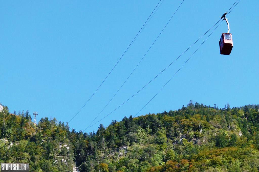 k-P1530908.JPG