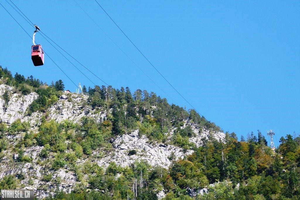 k-P1530917.JPG