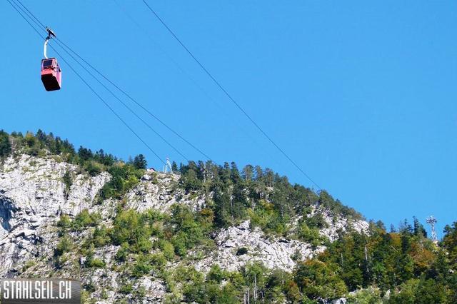 k-P1530919.JPG