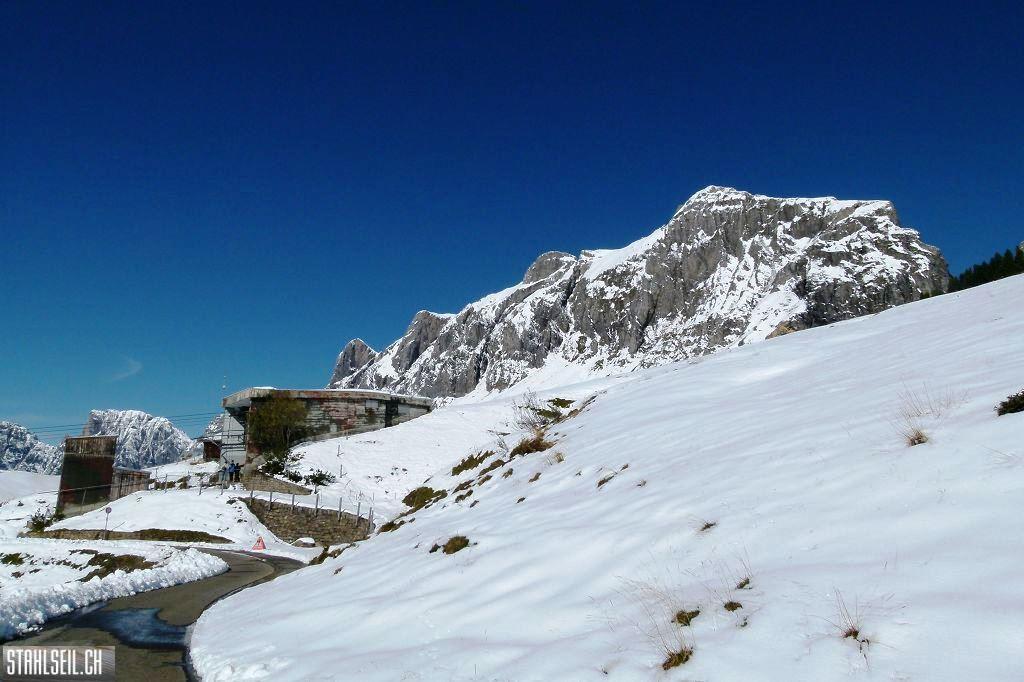 k-P1530938.JPG