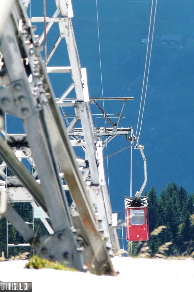 k-P1540064.JPG