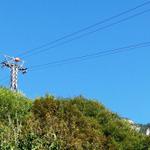 k-P1540113.JPG