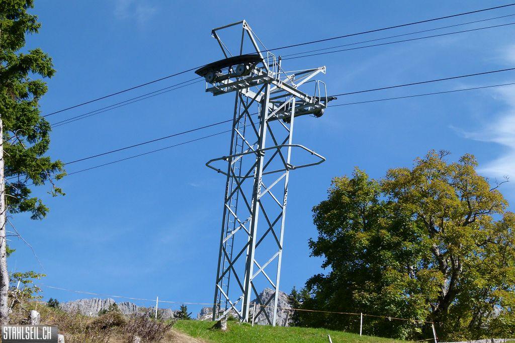 k-P1540178.JPG