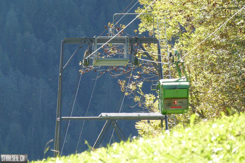 k-P1540229.JPG
