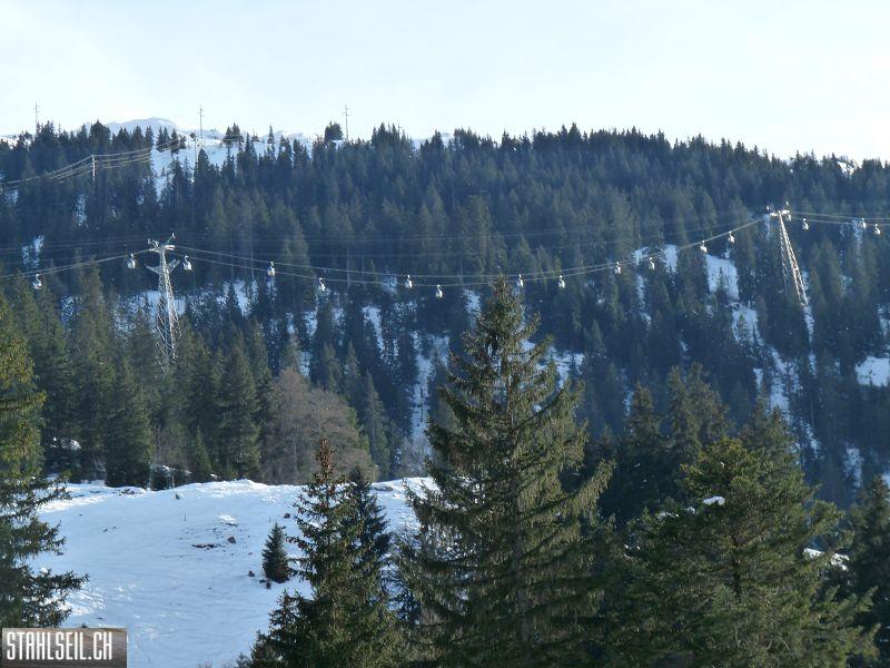 k-P1270753.JPG
