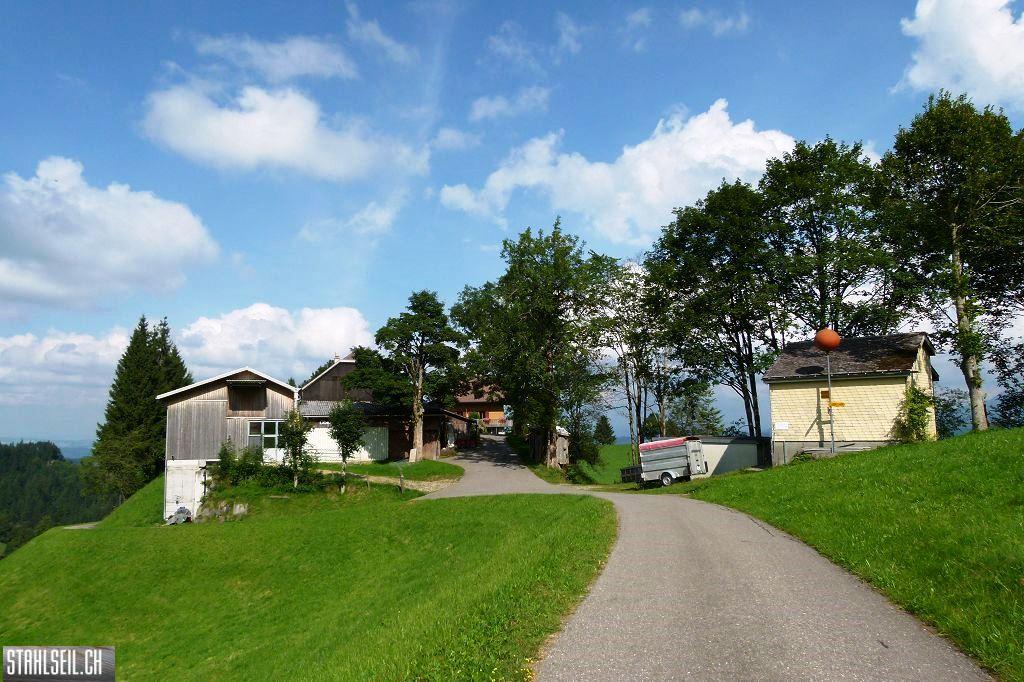 k-P1520245.JPG